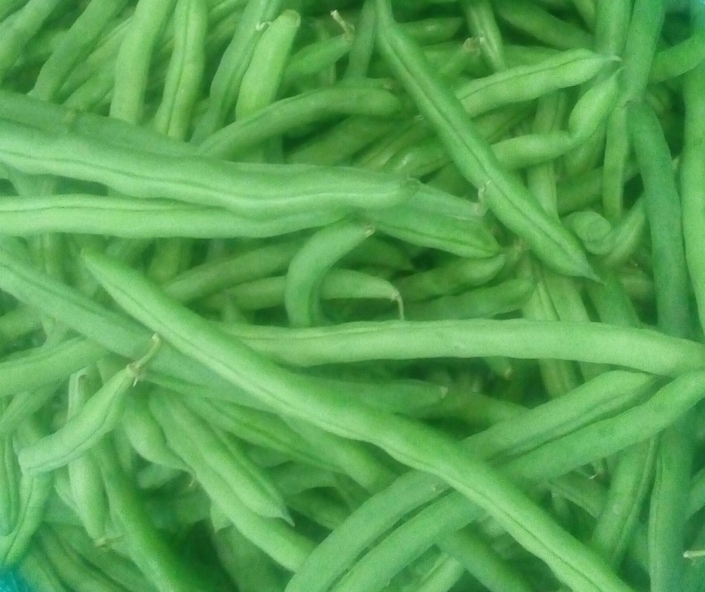 Habichuelas