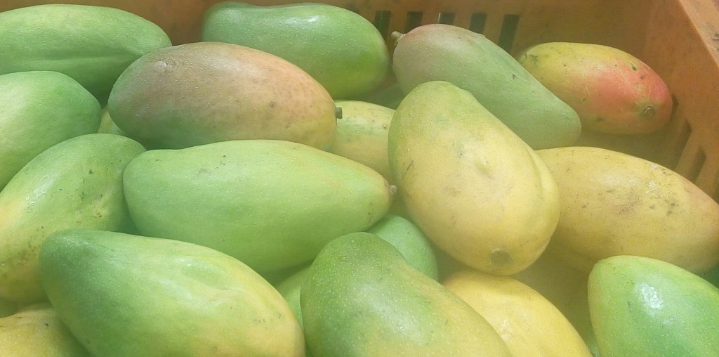 Mango Ferchi