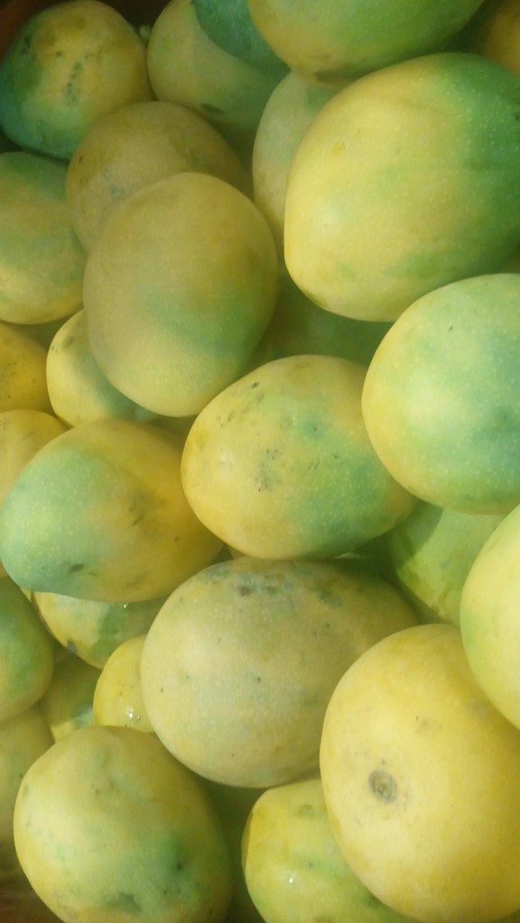 Mango mariquiteño