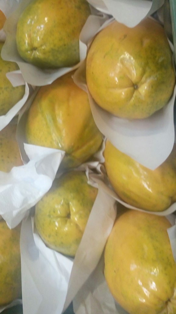 Papaya
