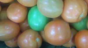 Tomate chonto de cuarta
