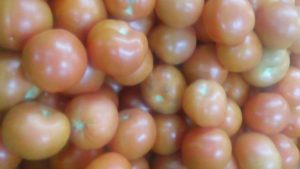 Tomate chonto de tercera