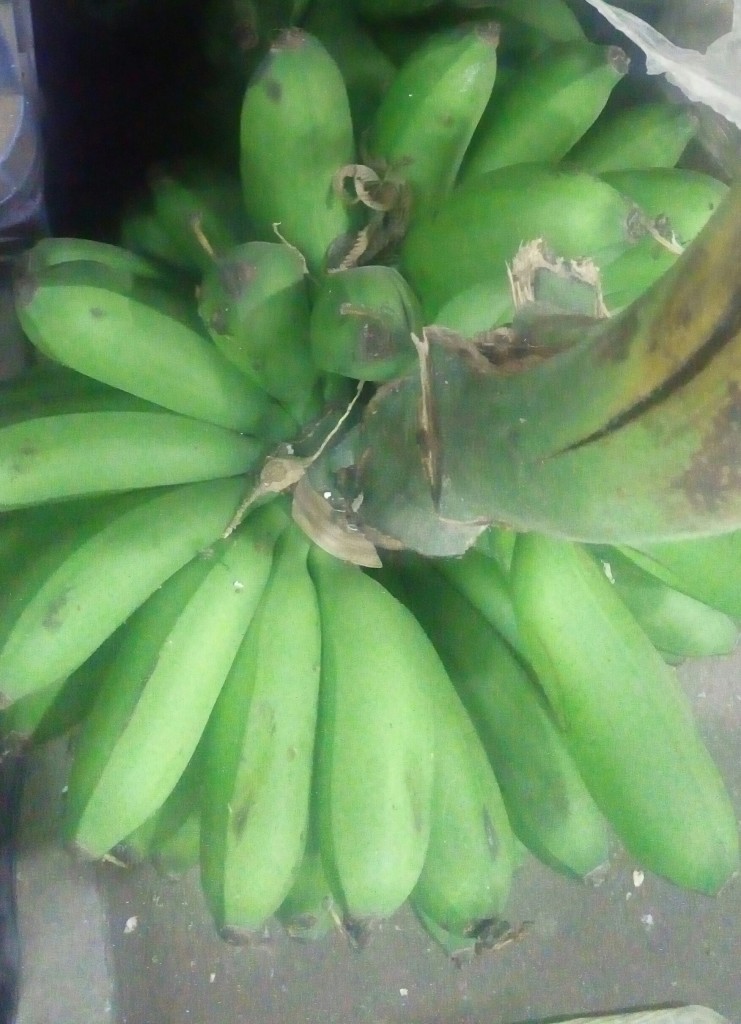 Colicero