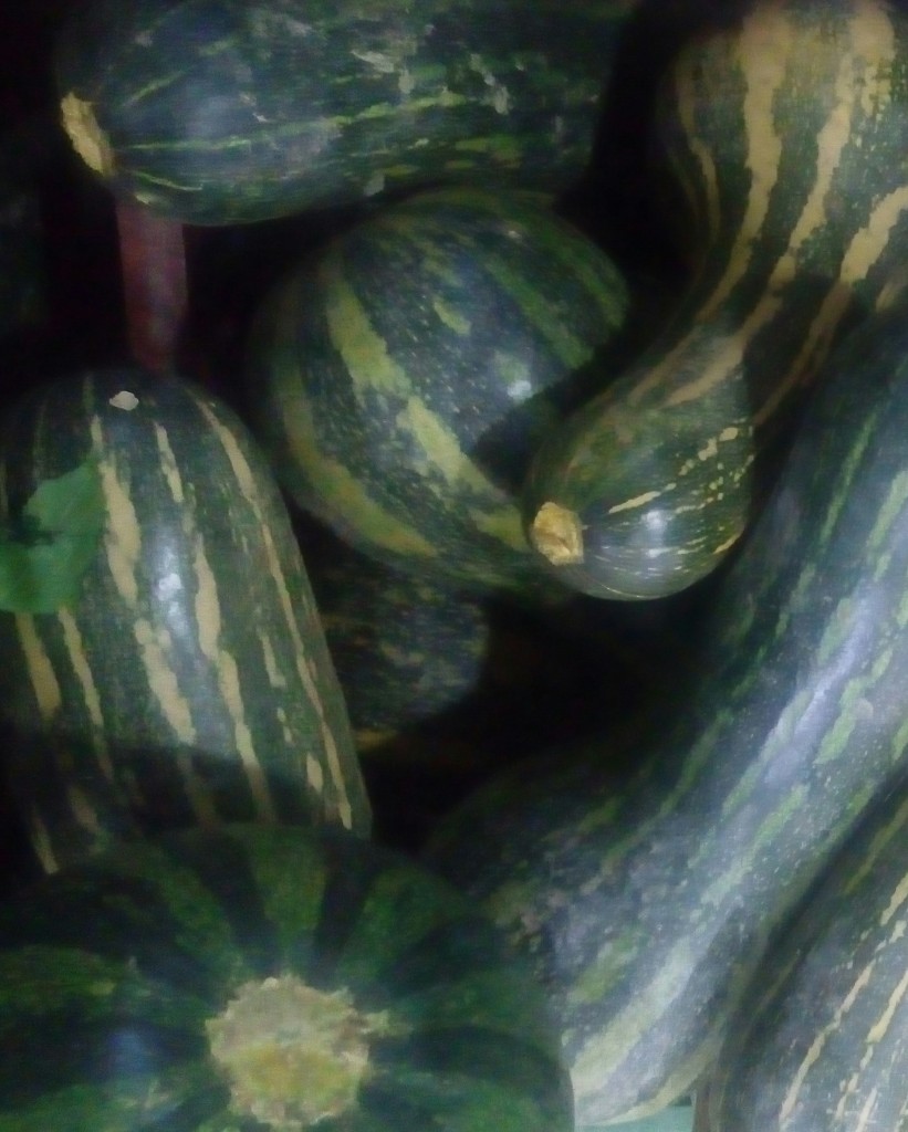 Ahuyama Sapayo