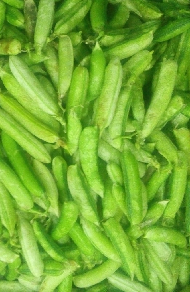 Arveja en cascara