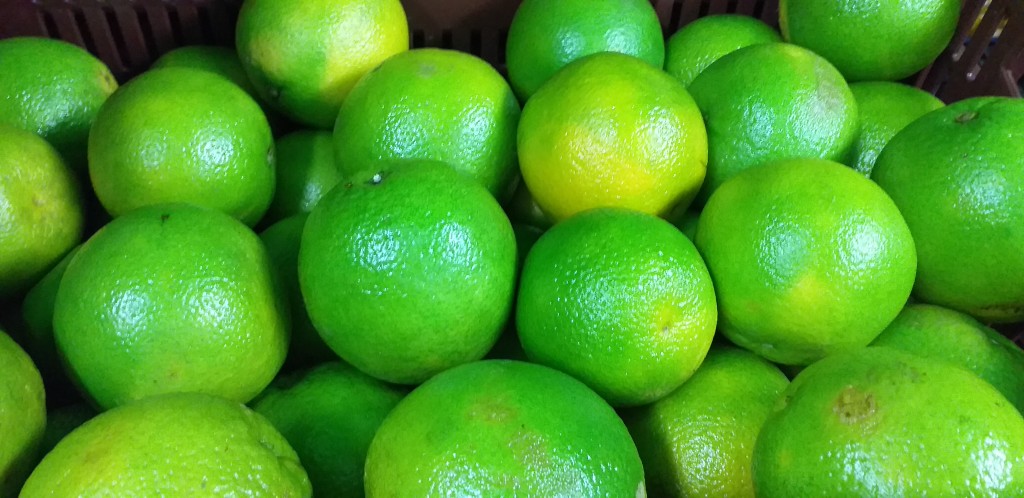 Naranja valencia de 1ra