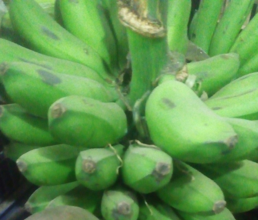 Colicero
