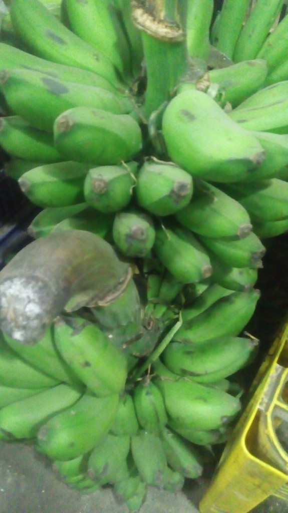 Colicero