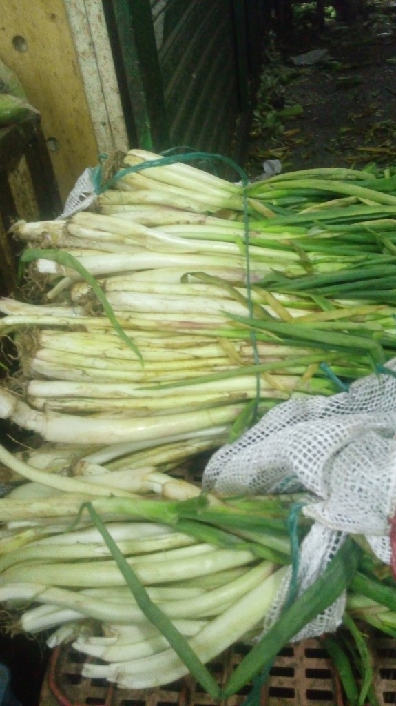 Cebolla larga