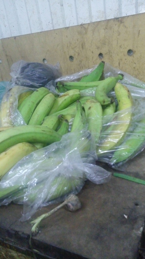 Platano Pinton