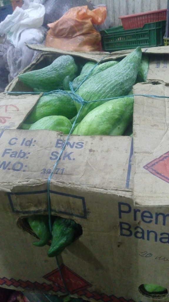 Pepino de guiso