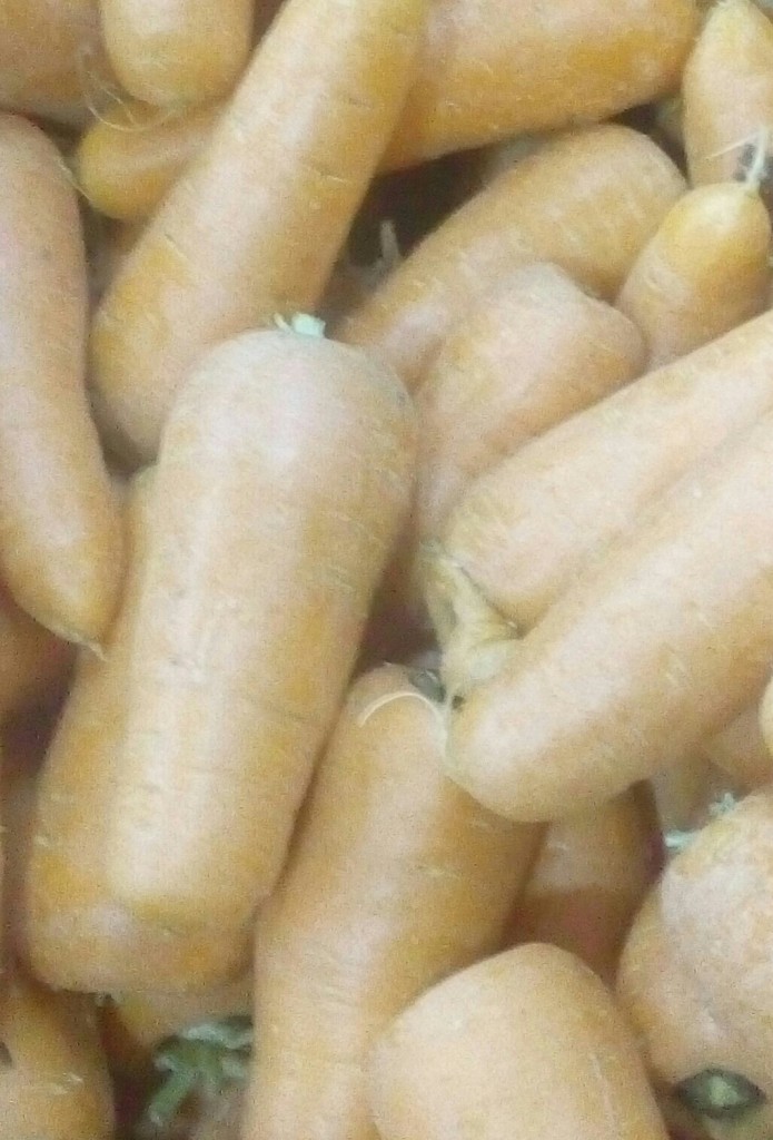 Zanahoria