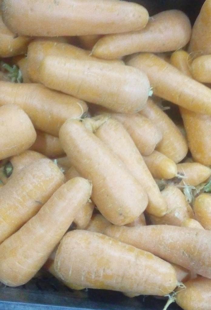 Zanahoria
