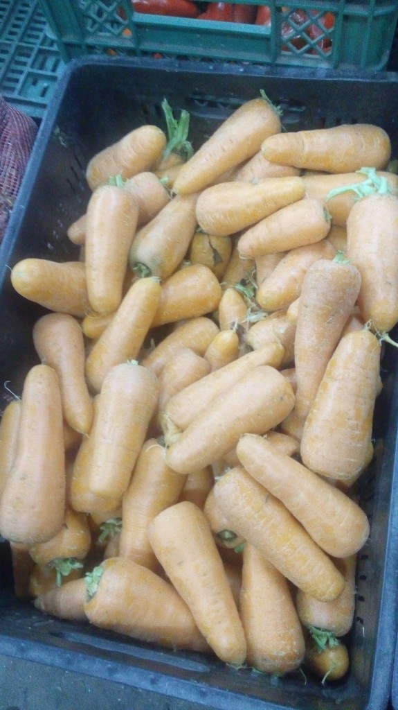 Zanahoria fina