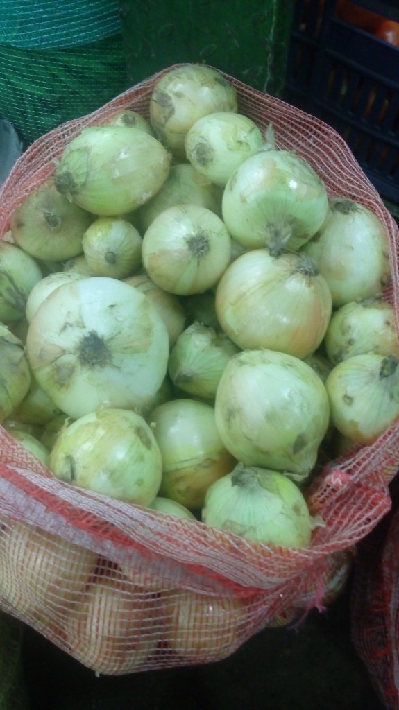 Cebolla cabezona