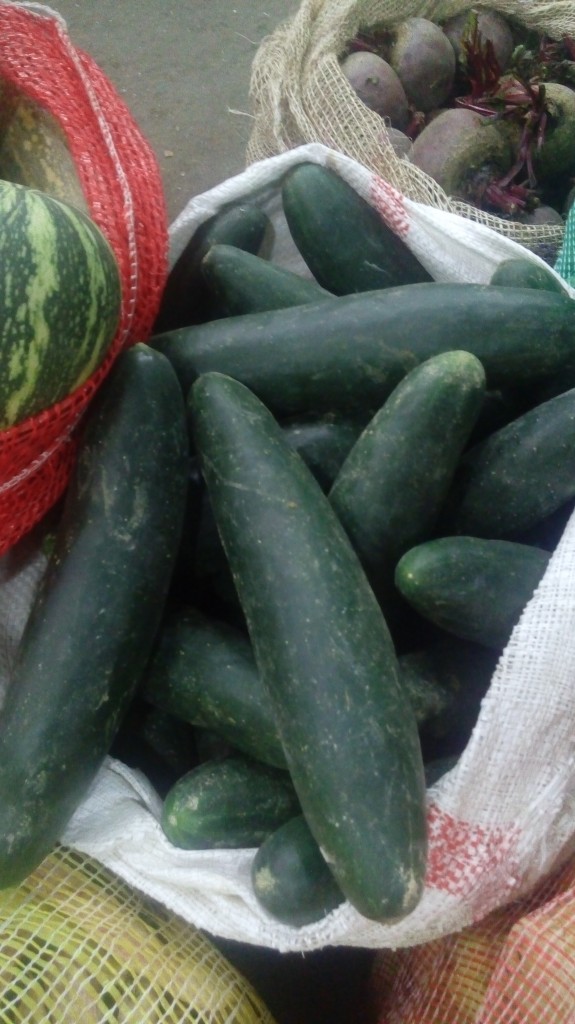 Pepino Cohombro