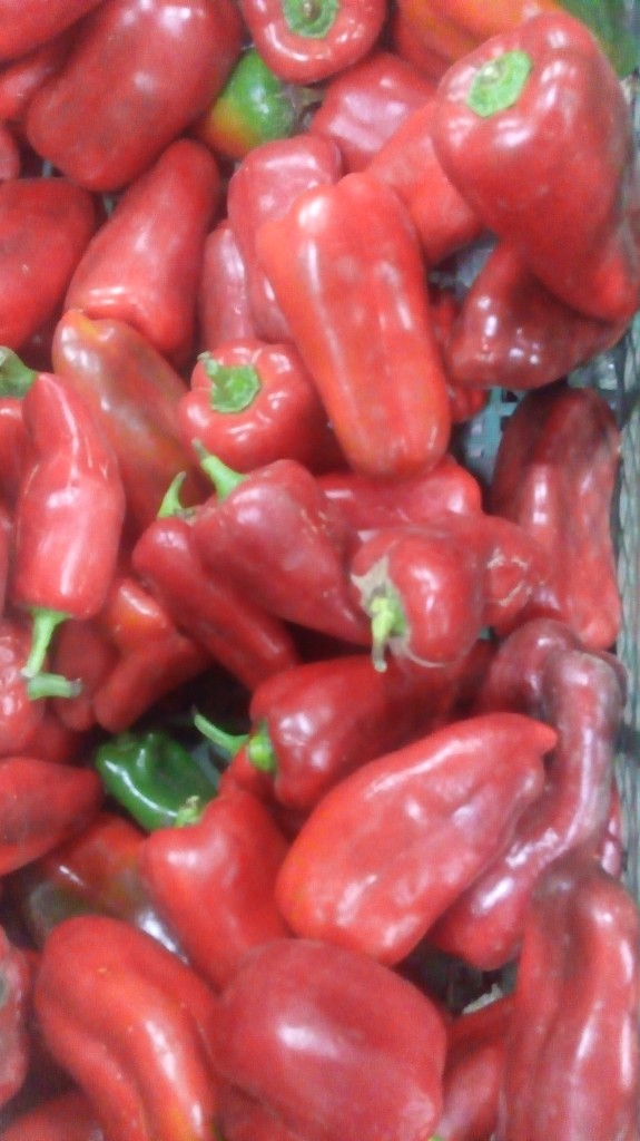 Pimenton rojo