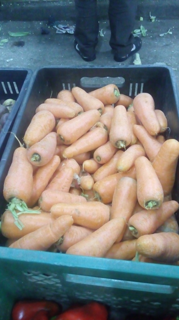 Zanahoria gruesa