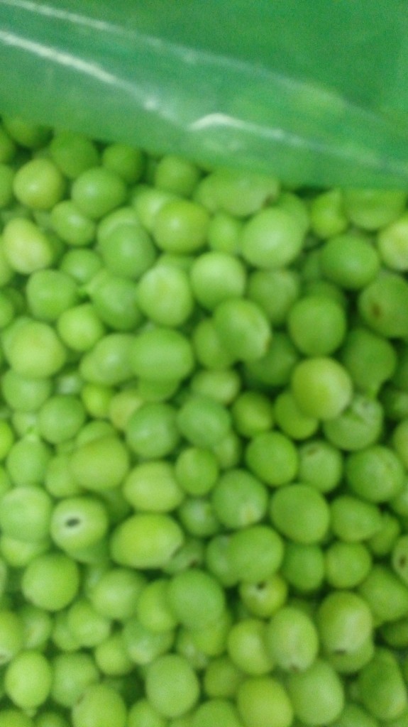 Arveja
