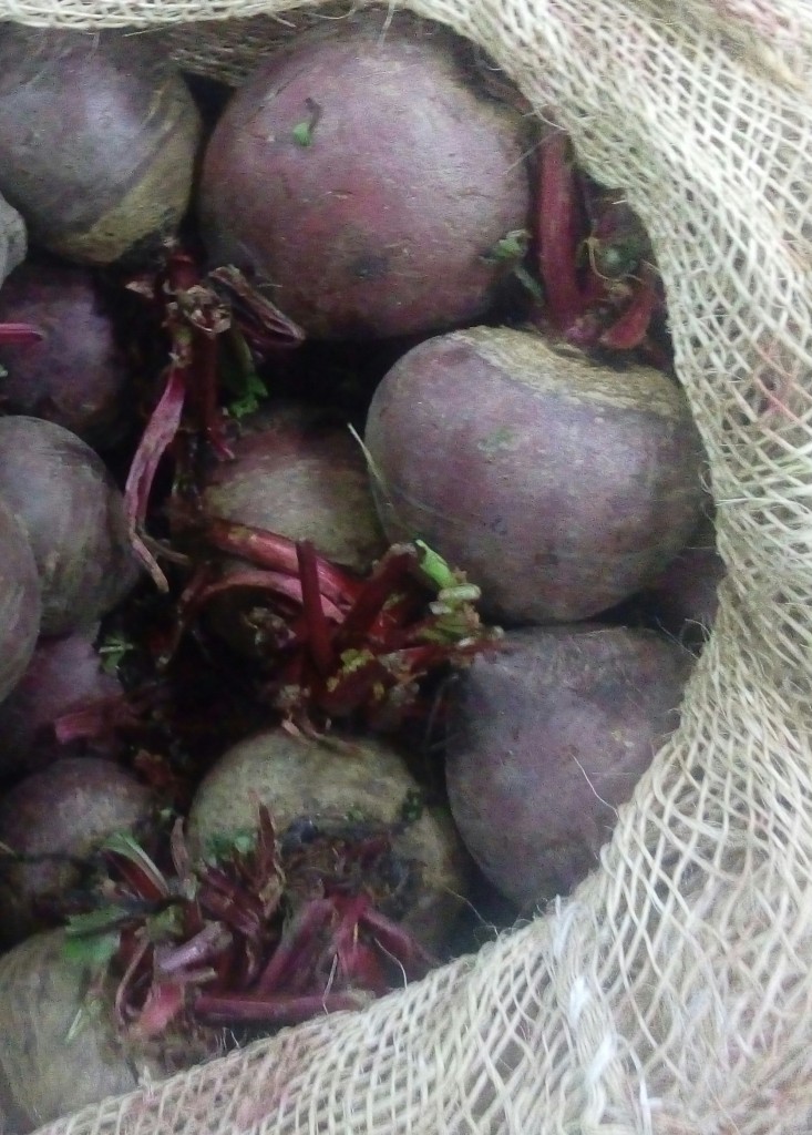 Remolacha