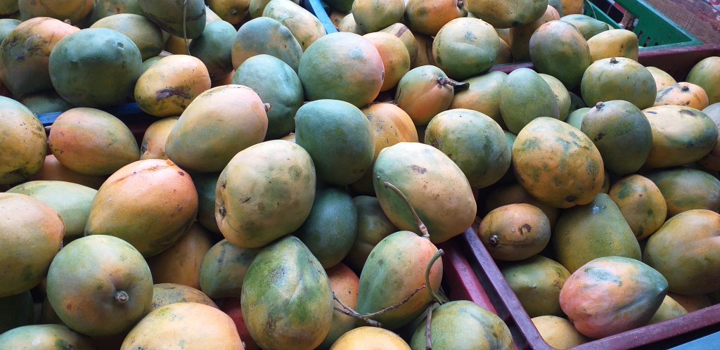 Mango reina