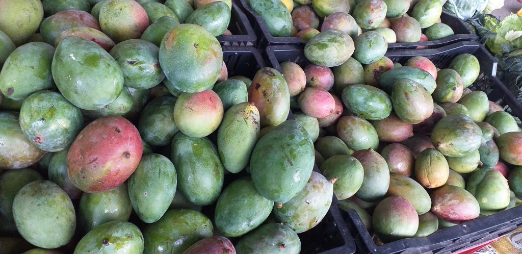 Mango farchi delgado