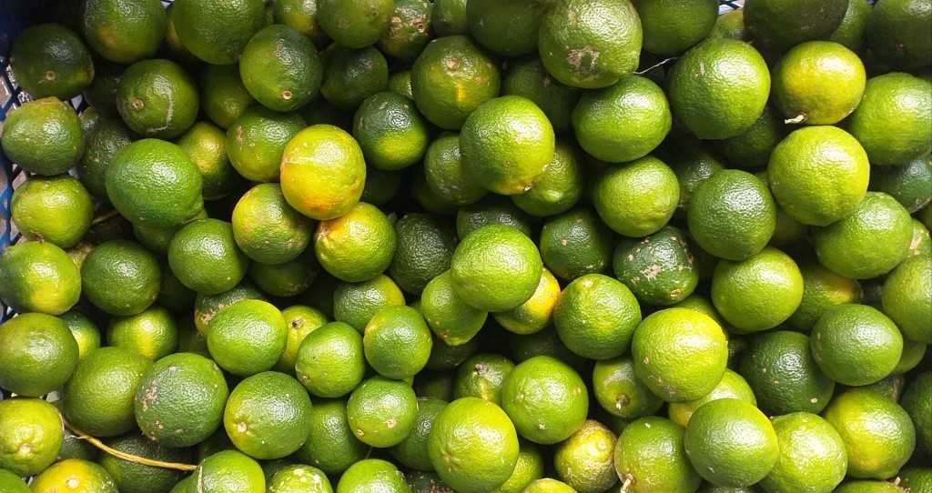 Limon tahiti delgado