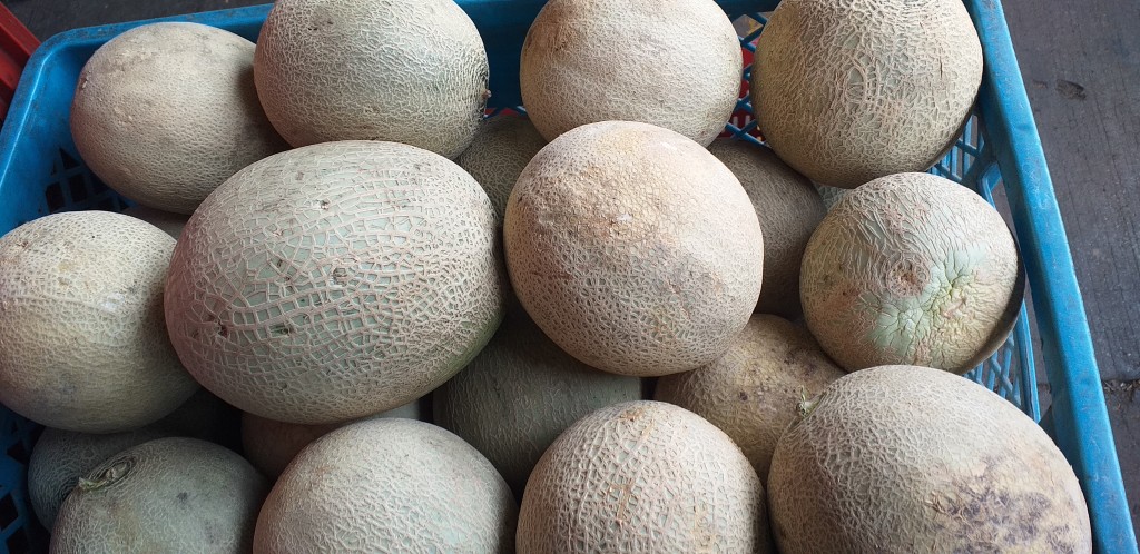 Melon