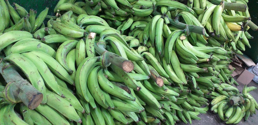 Platano verde