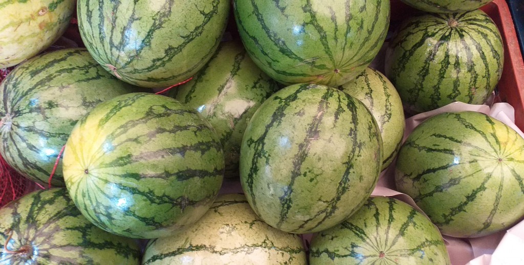 Sandia baby
