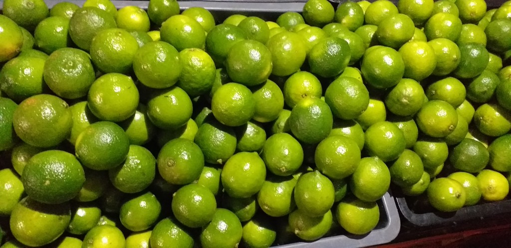Limon tahiti grueso
