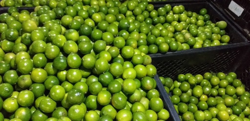 Limon tahiti delgado
