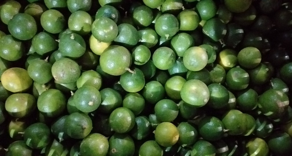 Limon criollo