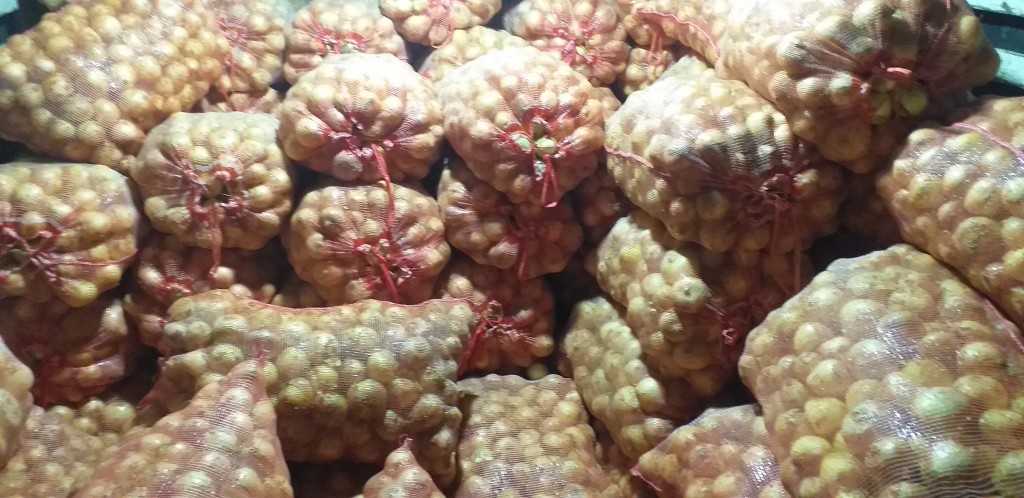 Cebolla blanca gruesa/50kg