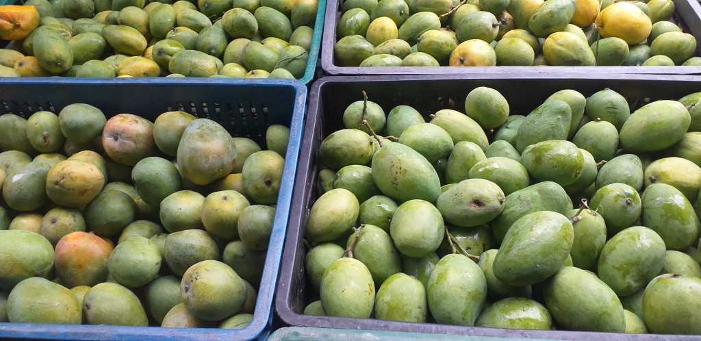 Mango criollo/25kg