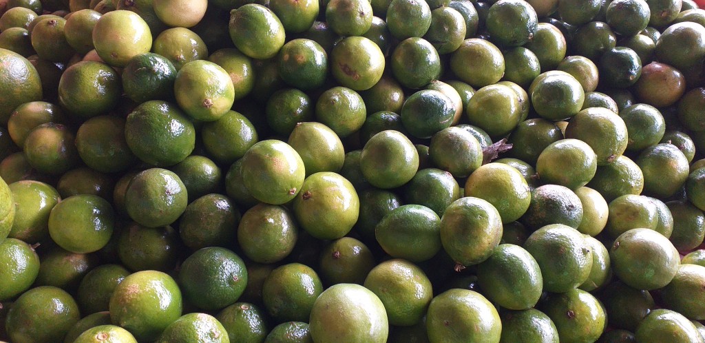 Limon tahiti delgado