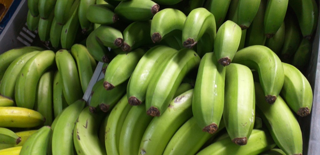 Banano criollo verde