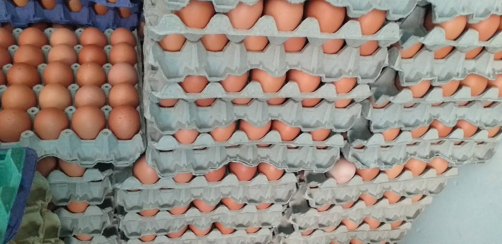 Huevos tipo AA