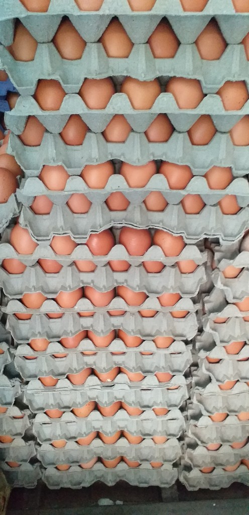 Huevos tipo AAA