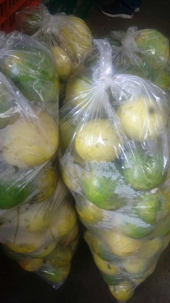 Maracuyá de primera calidad
