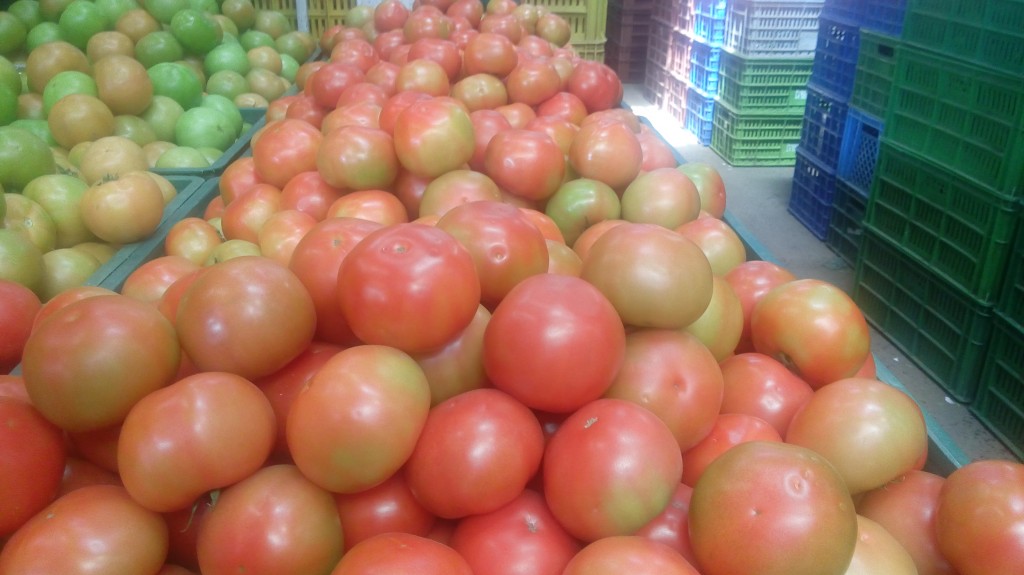 Tomate chonto de cuarta