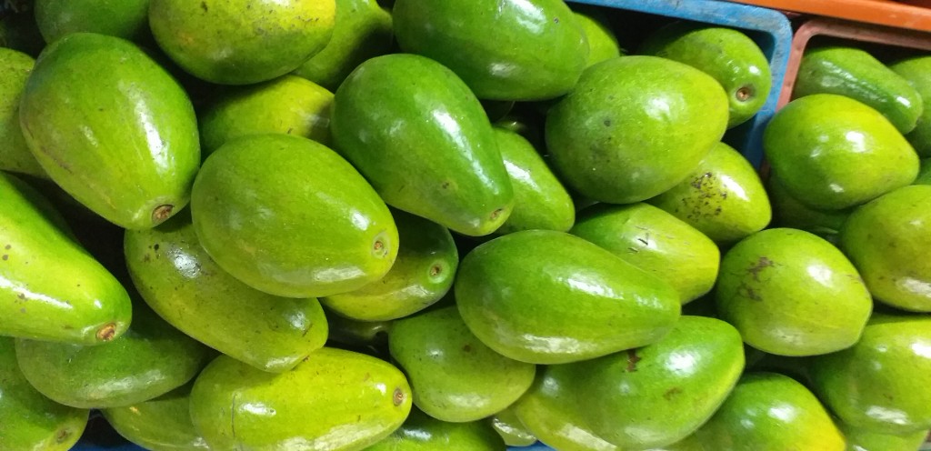 Aguacate papelillo