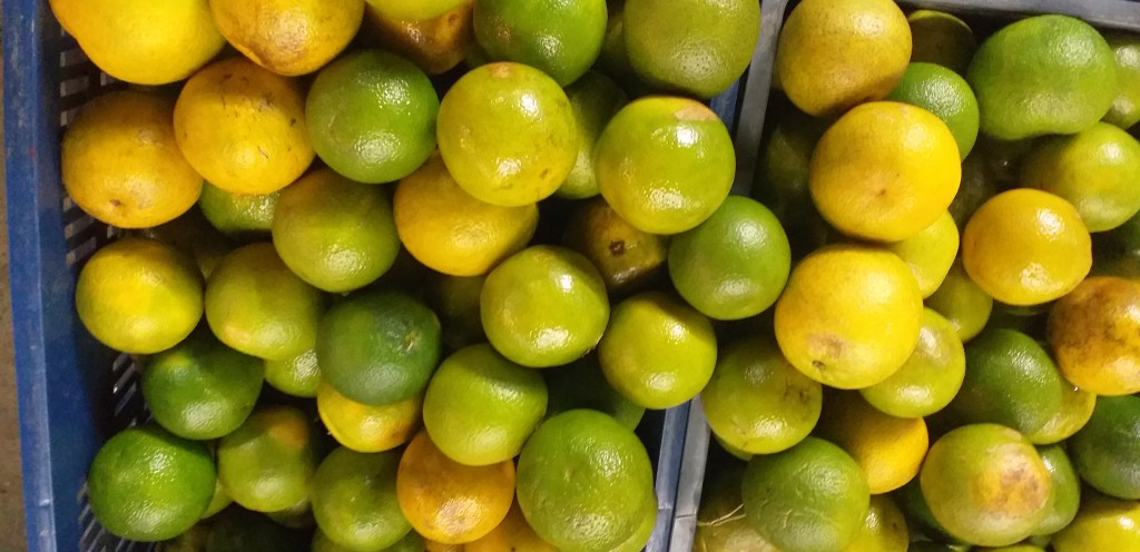 Naranja valencia