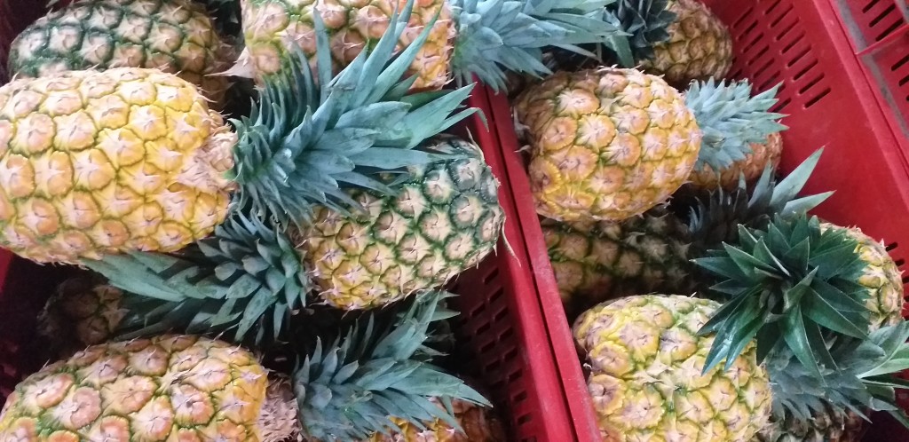 Piña oromiel