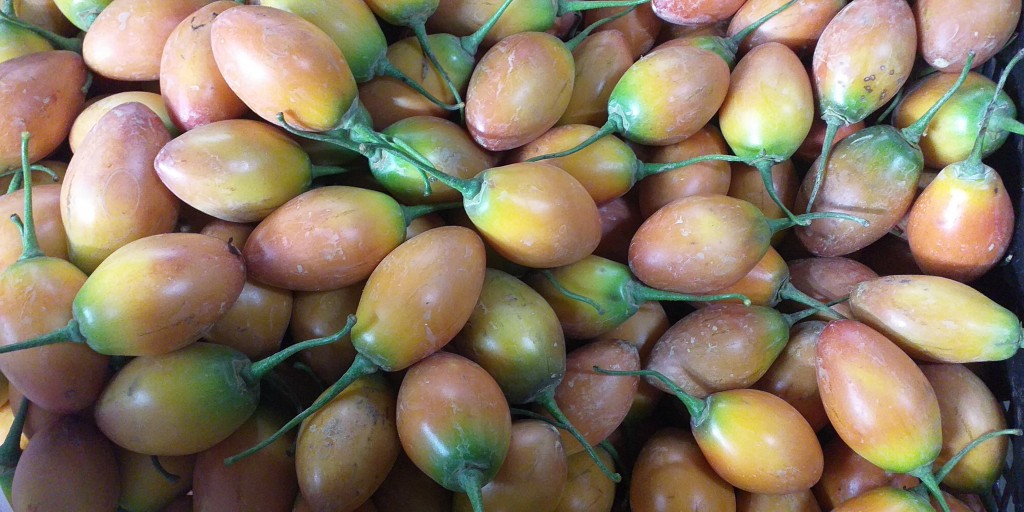 Tomate de arbol