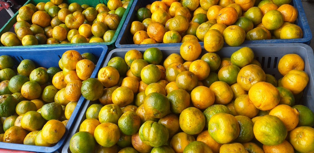 Mandarina oneco pareja