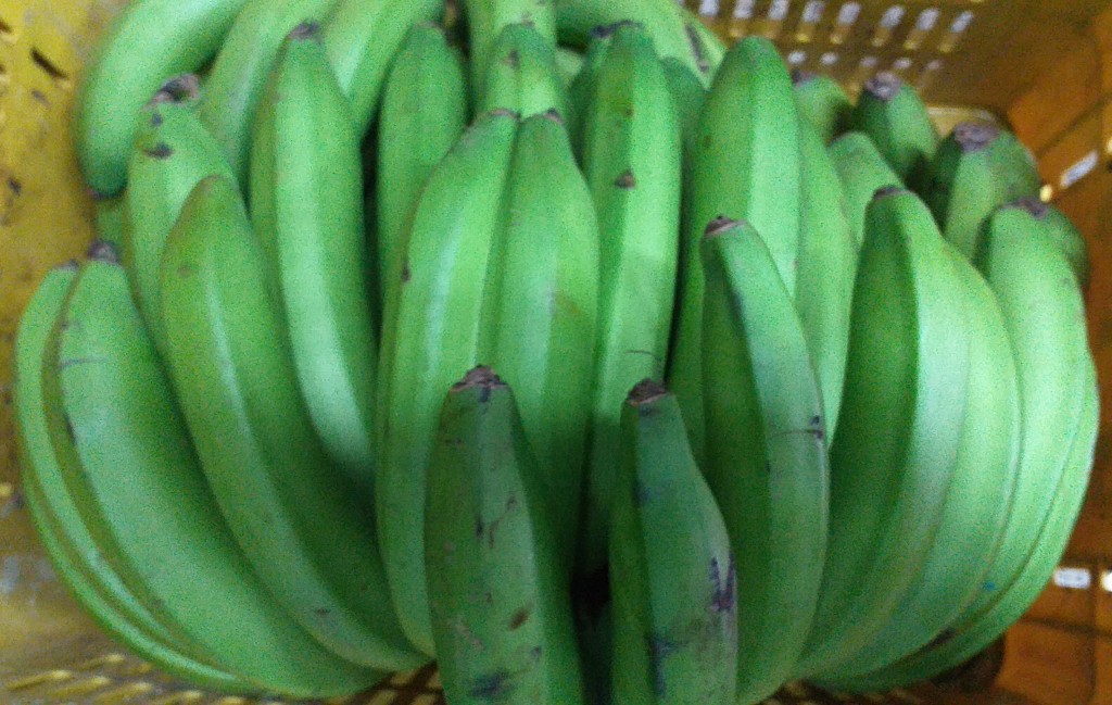 Banano criollo verde