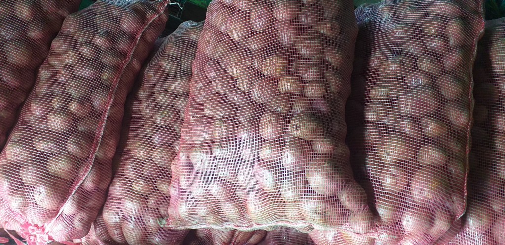 Papa bogotana/50kg