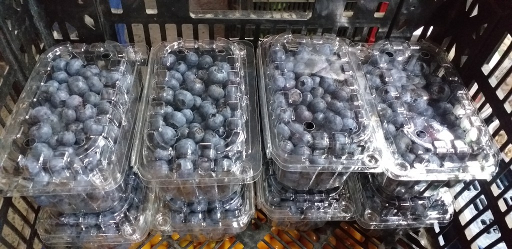 Arandanos/250gm