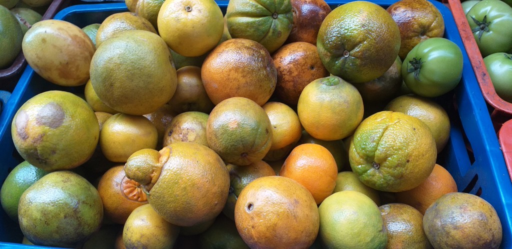 Naranja valencia de 2da